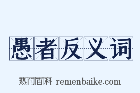 愚者反义词是什么意思的图片